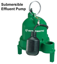 Pump Replacements: Effluent Pumps